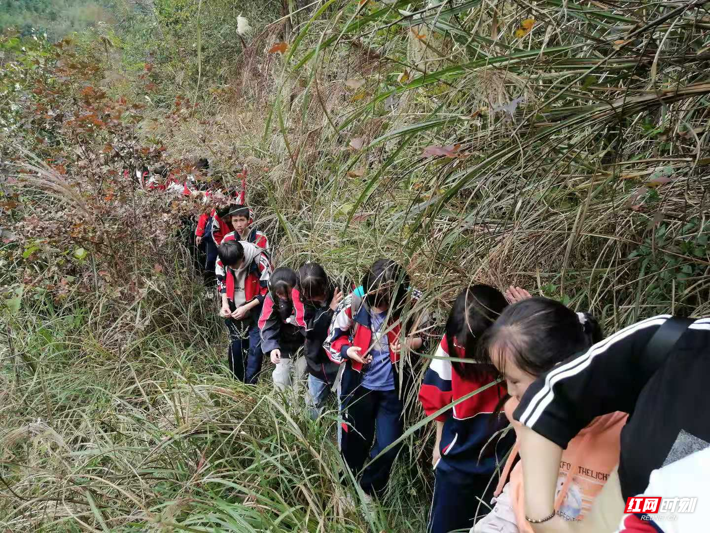 9478ea32c2019e4e371af9bb2261e99.jpg 9478ea32c2019e4e371af9bb2261e99.jpg