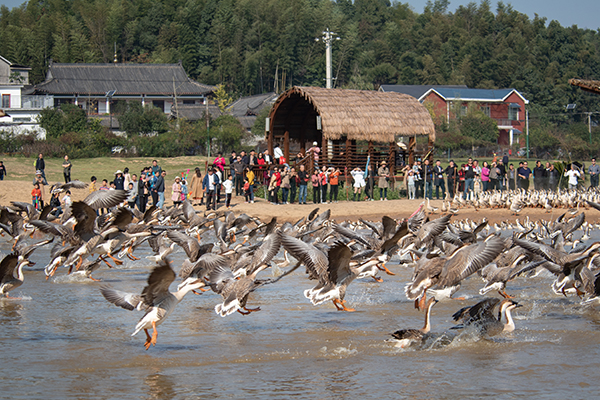 石三门冬游_dsc3122.jpg