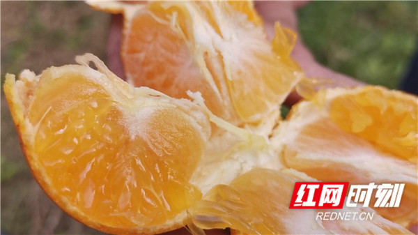 暴风截图2020111721301203.jpg