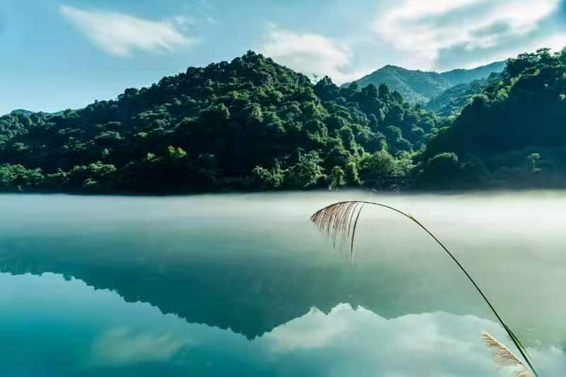 微信图片_20201118151920.jpg