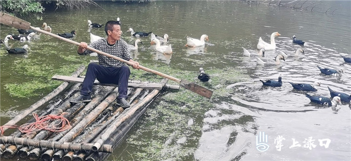 微信图片_20201119092505.jpg 微信图片_20201119092505.jpg