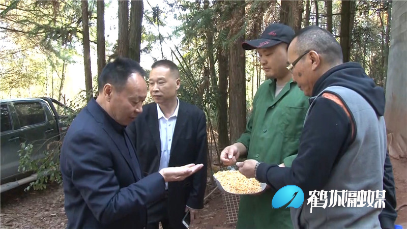 山鸡养殖户陷困境   鹤城区个体劳动者私企协会来帮忙.mp4_20201120_175437.962.jpg