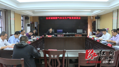 全省燃气交叉检查郴州检查组来宁远开展检查工作_副本500.jpg