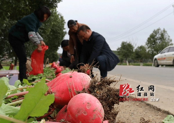 11月22日，顾客在道县柑子园镇把截村道路旁选购萝卜。.gif