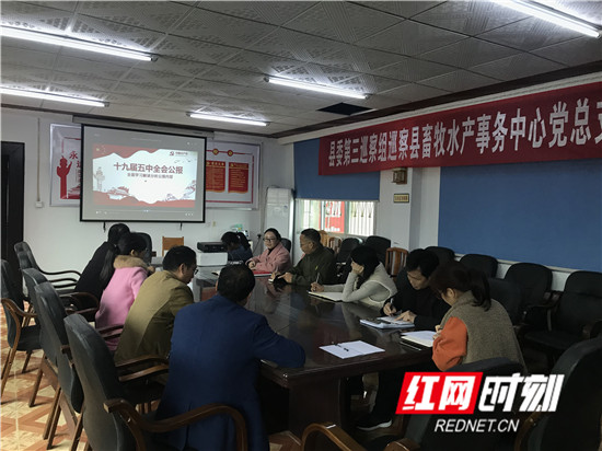402938f851a8f0bd351b76dc5397993_副本.jpg