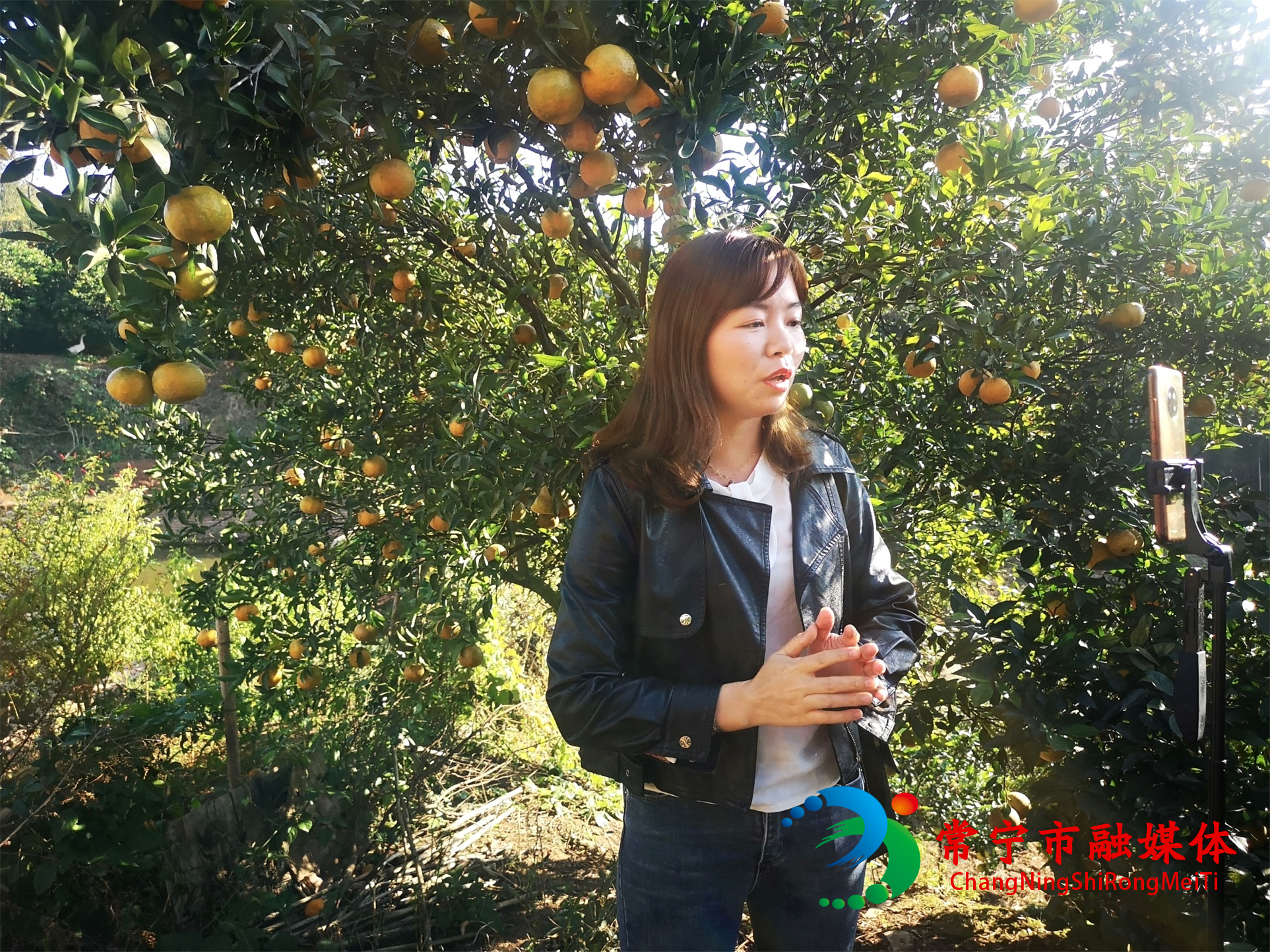 脐橙 (13)(1).jpg