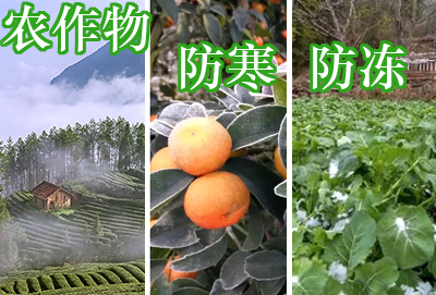 农作物.jpg