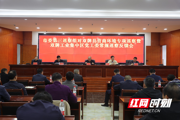 市委第三巡查组1_副本.png