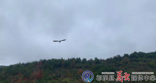 w_图片1.png