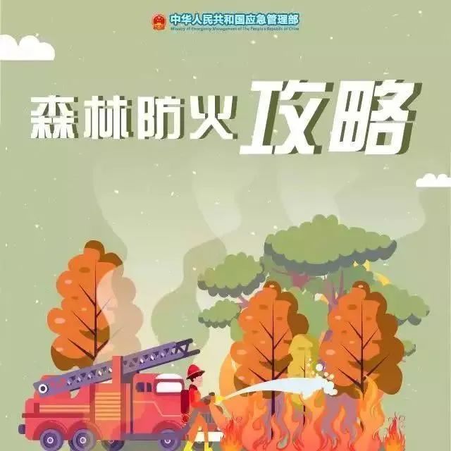 这份森林防火攻略,请查收!