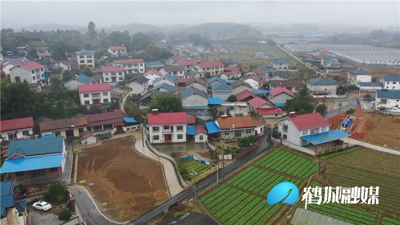 坨院街道岩添村：农村人居环境整治成效初显.mp4_20201125_174220.705.jpg