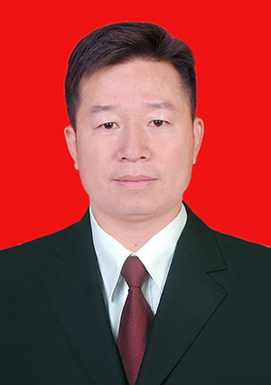 茶陵县人民代表大会常务委员会公告 〔2020〕24号