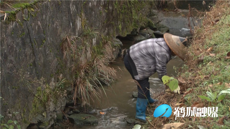 犁头园村入选全国文明村镇名单.mp4_20201130_161224.434.jpg