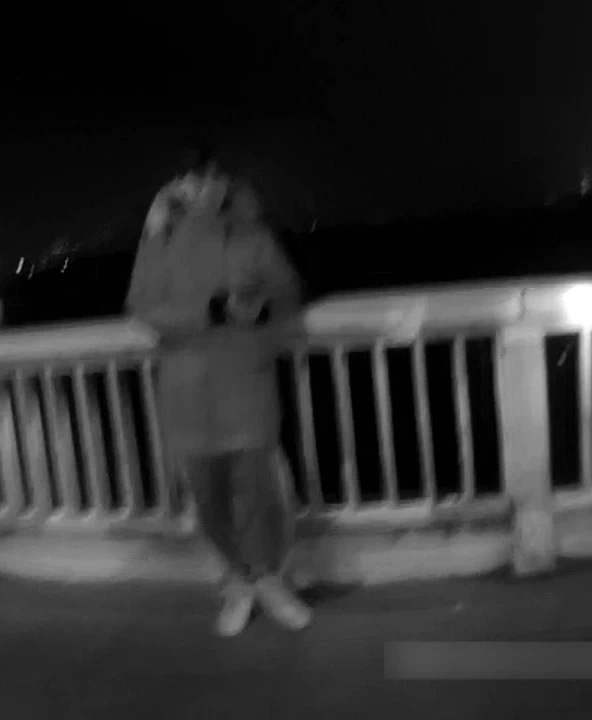在橘子洲大桥上，民警发现这名年轻男子与报警人所说的“轻生者”外貌特征很像。 警方供图