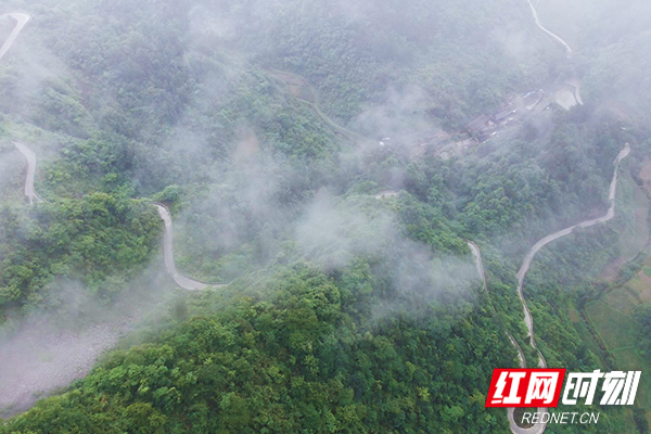 未标题-2.jpg 未标题-2.jpg