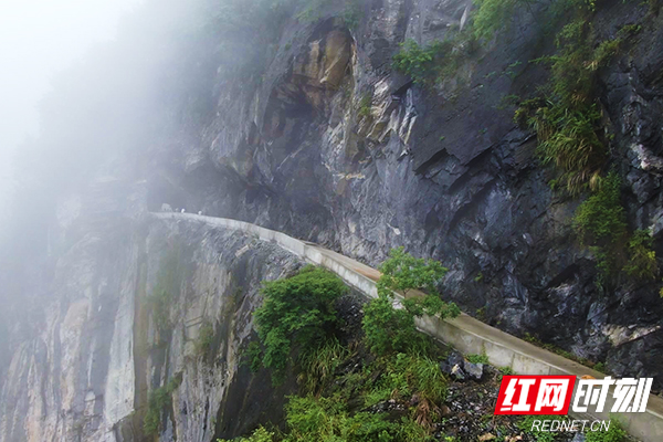 未标题-1.jpg 未标题-1.jpg