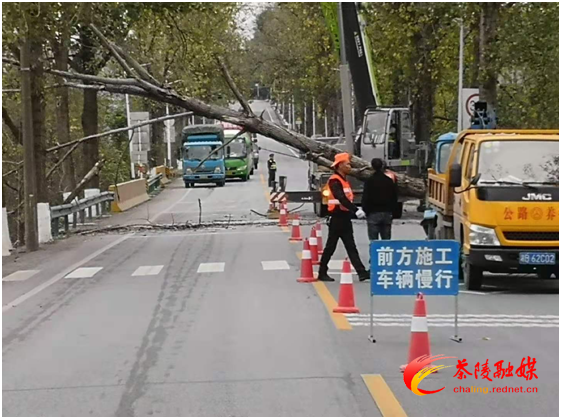 微信图片_20201130154837.png