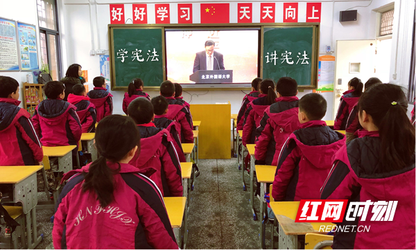 图片8_副本.png