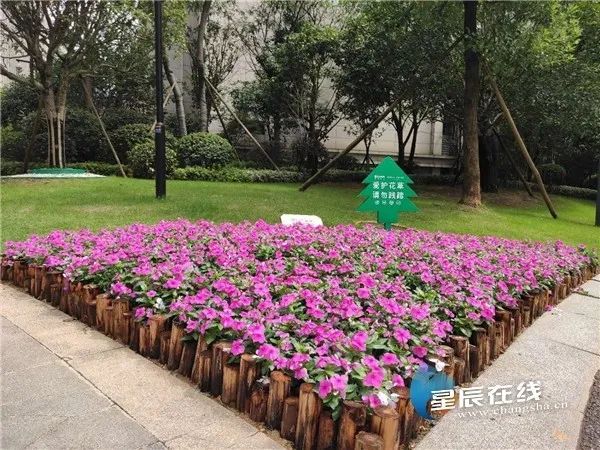 践行"冷暖相知 一生相随"理念 长房物业人温暖千家万户