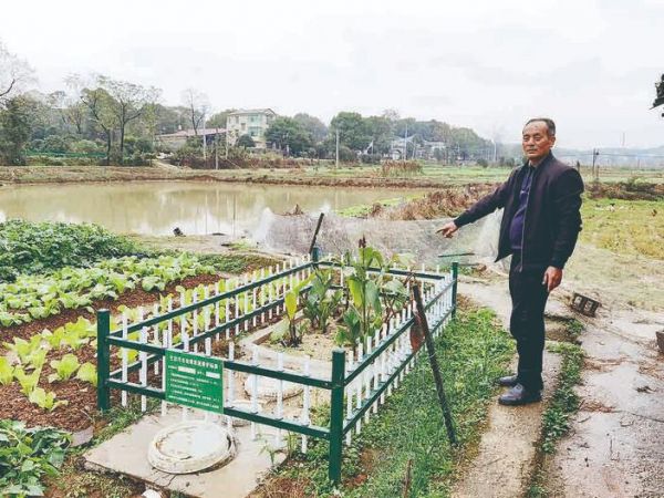 村民家的微型人工湿地。 邹怡敏 摄