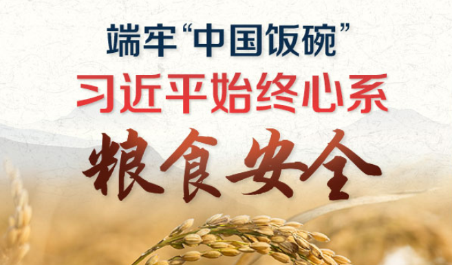 端牢“中国饭碗” 习近平始终心系粮食安全