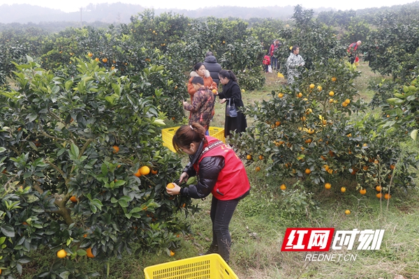 微信图片_20201208000241.jpg