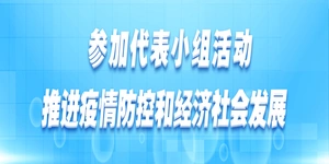 參加代表小組活動 推進疫情防控和經濟社會發展