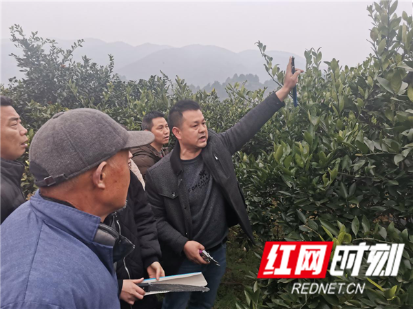 图片2_副本.png
