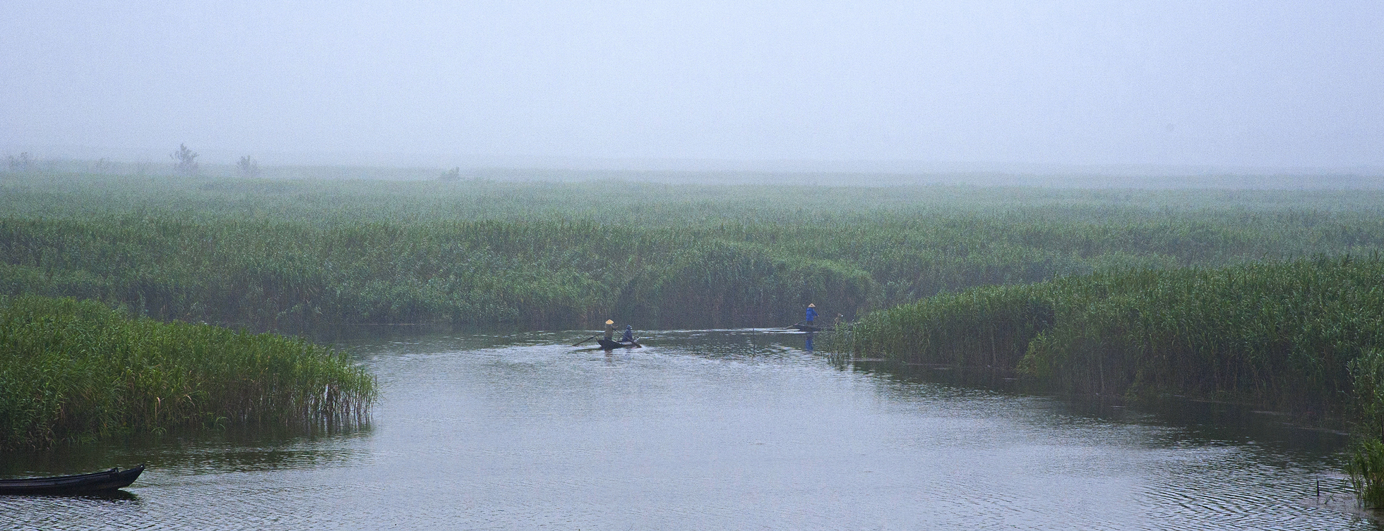 《烟雨湖洲 》毛保莲_副本.jpg