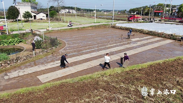 47f173f1-bde8-4a11-9665-a0d4856408a6.jpg 47f173f1-bde8-4a11-9665-a0d4856408a6.jpg