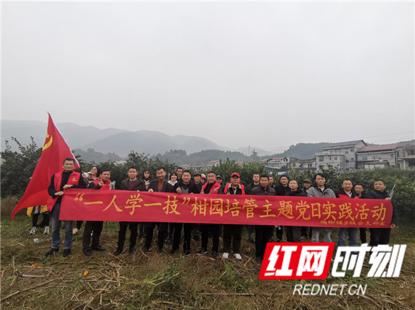 图片3_副本.png