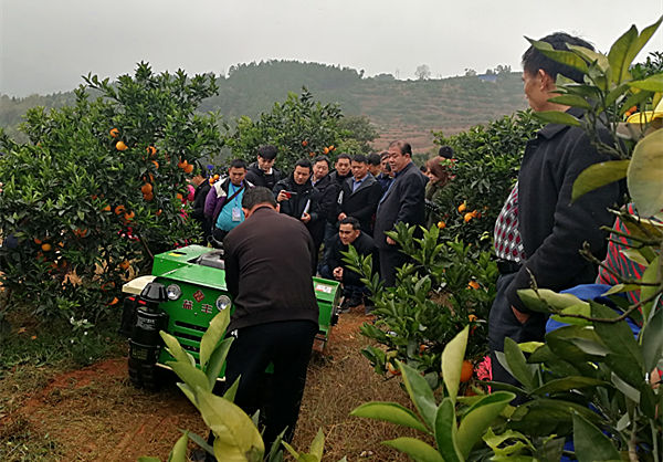 湘南水果产业机械化培训2_副本1.jpg 湘南水果产业机械化培训2_副本1.jpg