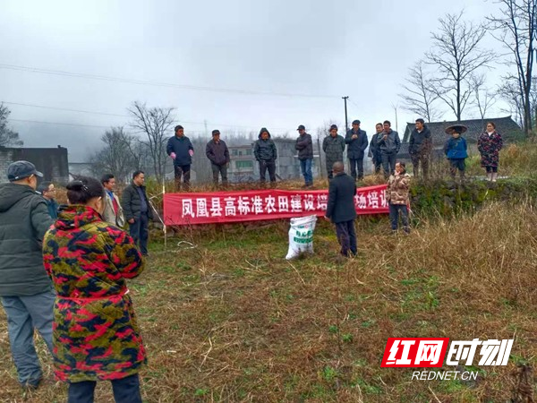 禾库镇高标准农田有机肥使用方法培训现场.jpg