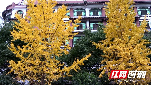 微信图片_20201214145610.jpg