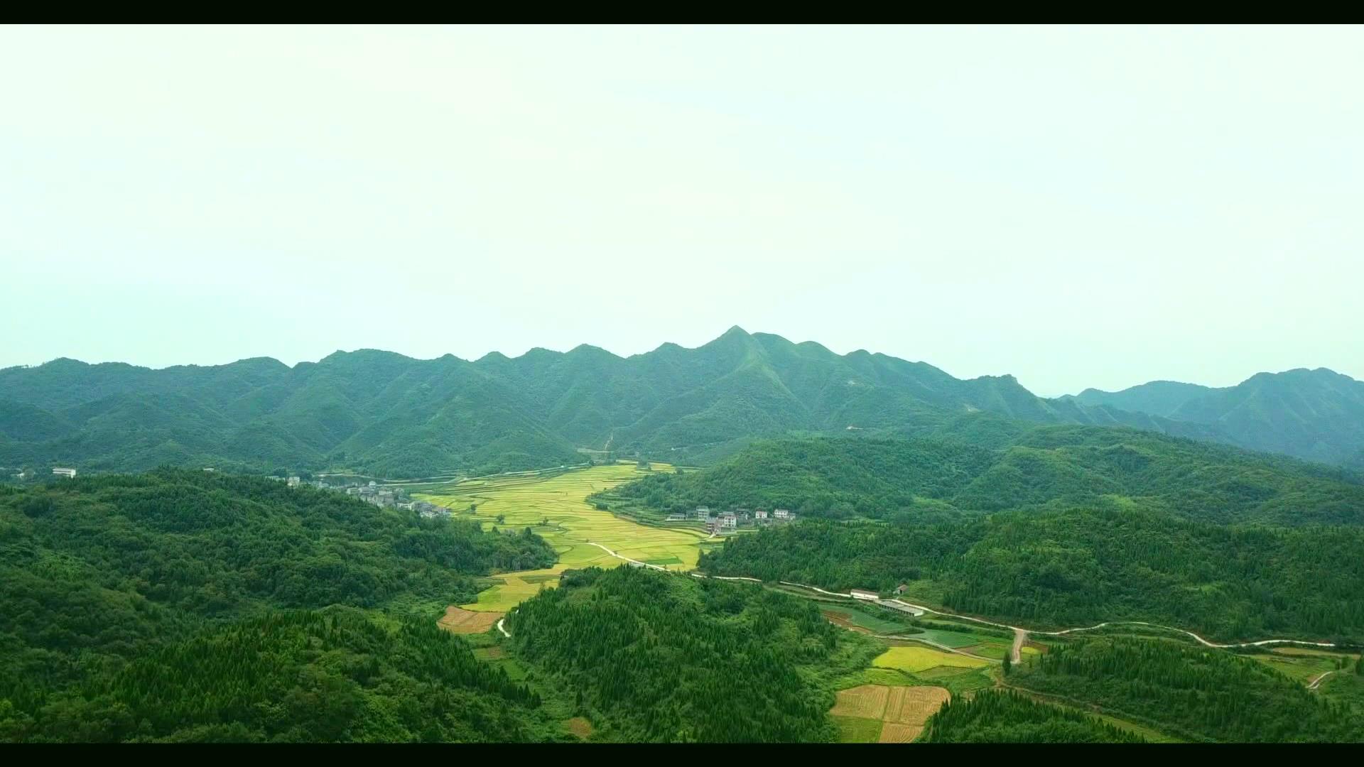 美丽画卷之五 (3).jpg