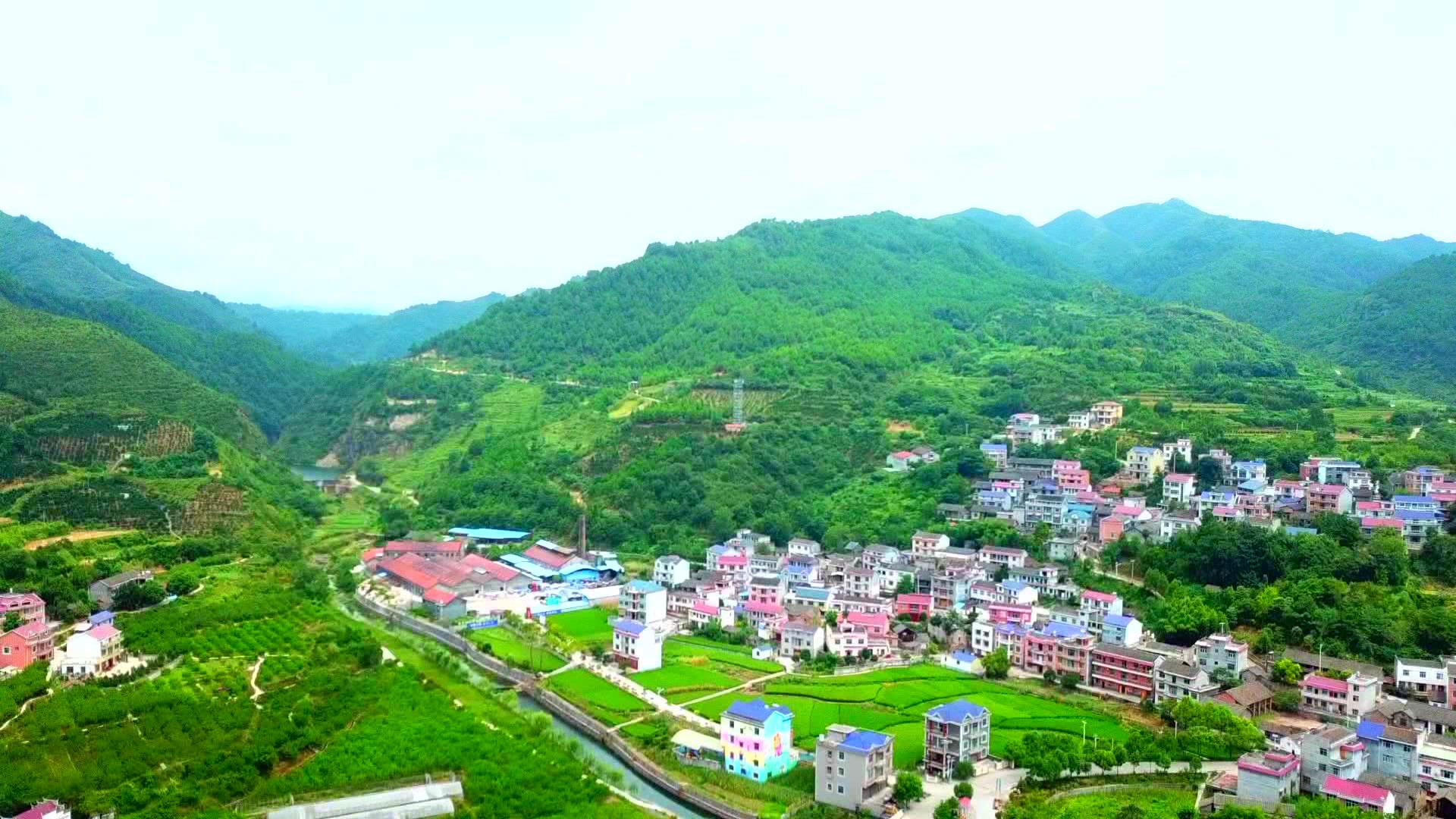美丽画卷之四 (1).jpg