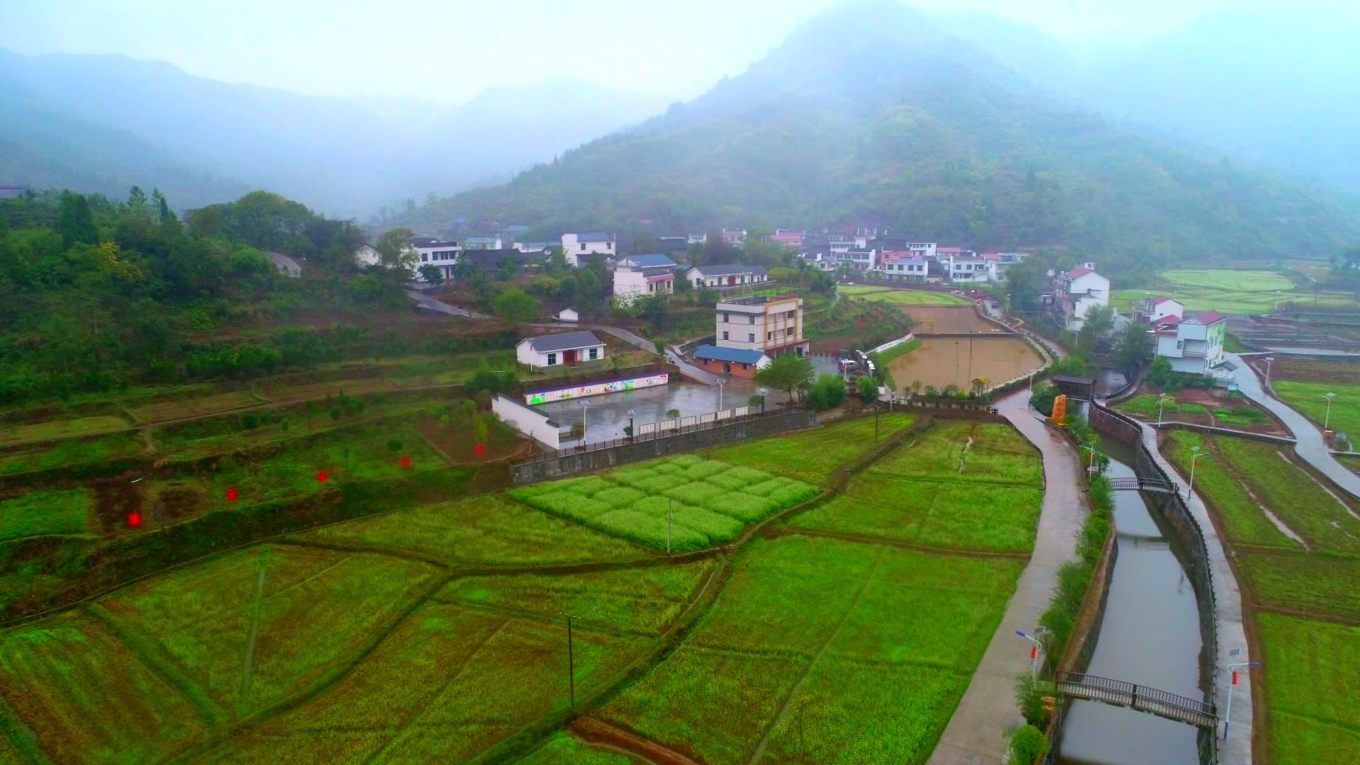 美丽画卷之五 (1).jpg