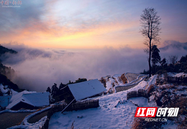 紫鹊界梯田雪景图片