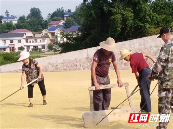 微信图片_202012171050354_副本_副本.jpg 微信图片_202012171050354_副本_副本.jpg