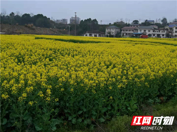 微信图片_202012171050352_副本_副本.jpg 微信图片_202012171050352_副本_副本.jpg