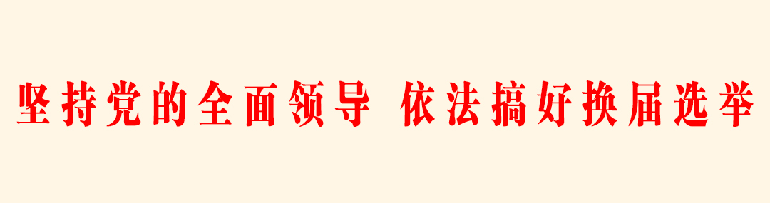 坚持党的全面领导，依法搞好换届选举.jpg