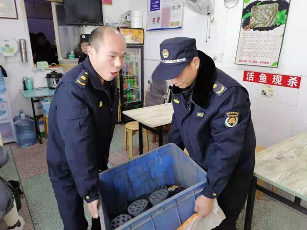 图片11.jpg