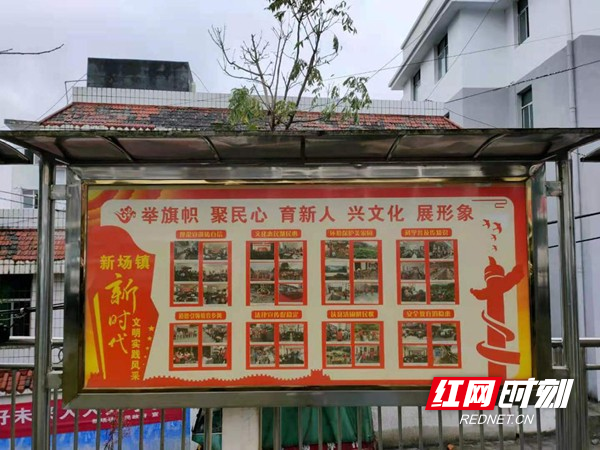 图片12.jpg