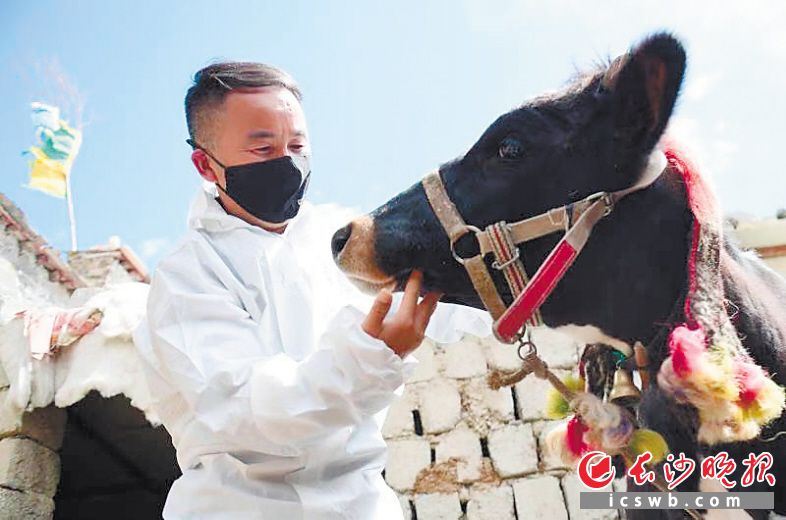 　　伍国强在亲近平时工作中的“坐骑”。 本版照片均为受访者提供