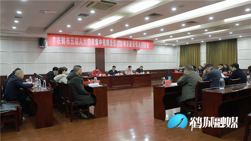 在鹤市五届人大代表集中视察鹤城区重点项目建设.mp4_20201223_170315.806.jpg