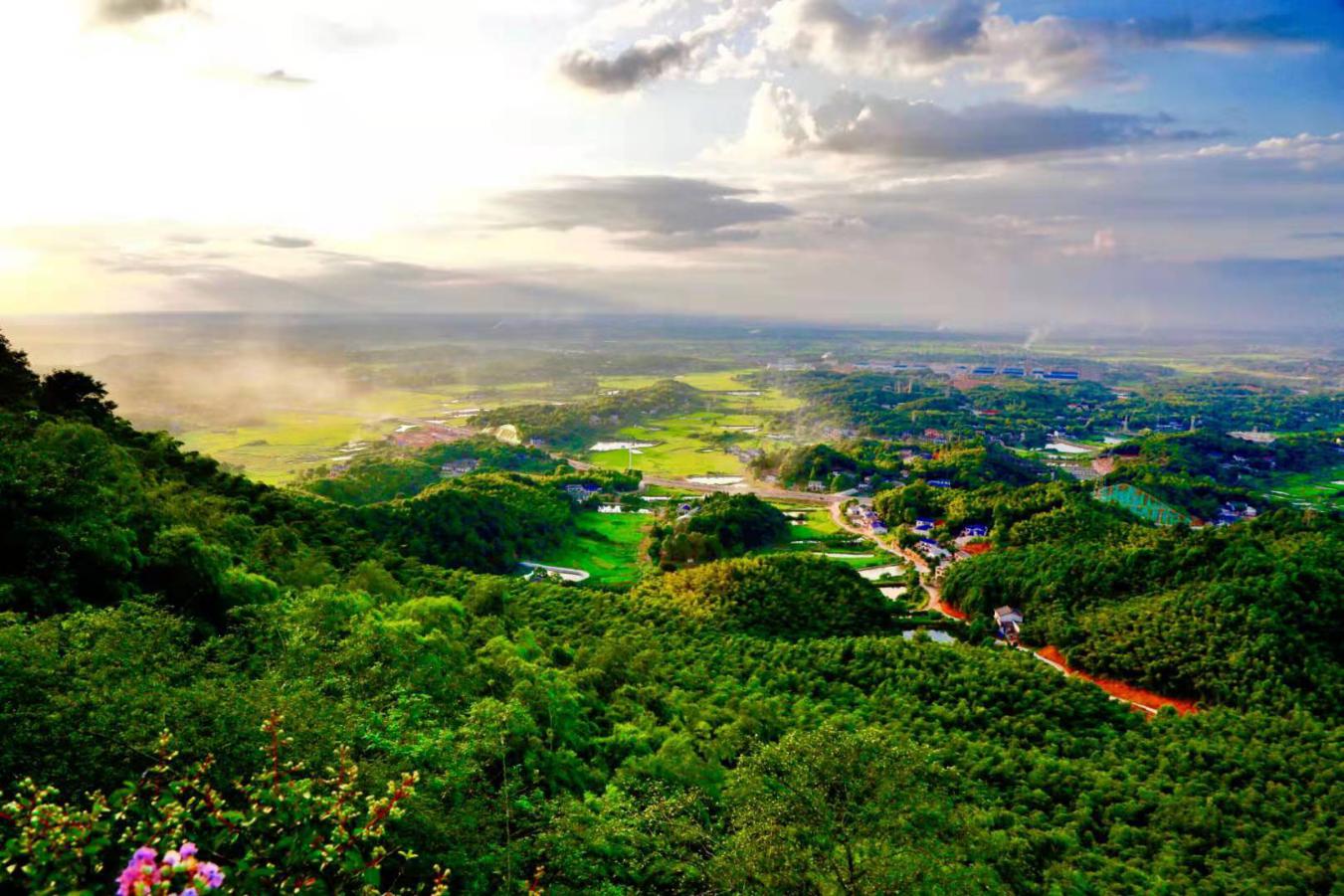 乌山森林公园