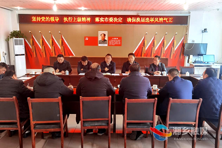 彭瑞林详细了解新湘路街道城西村“两委”换届选举工作情况。.jpg