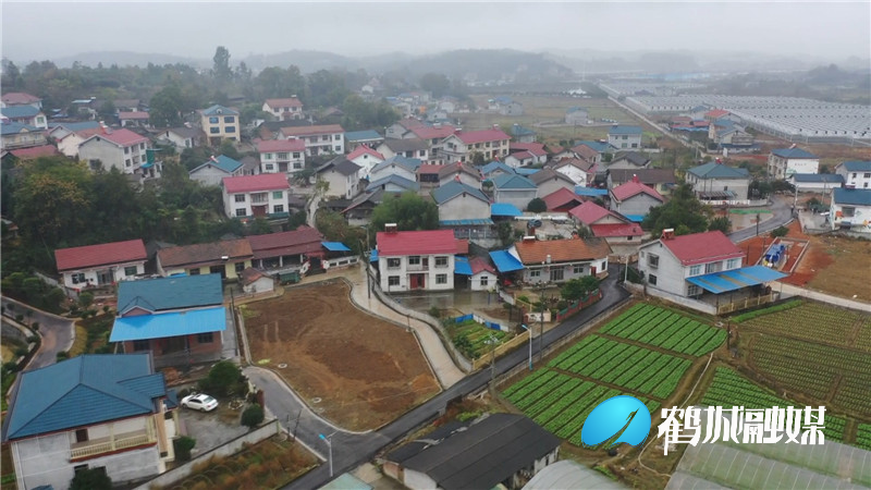 坨院街道岩添村人居环境整治预计春节前全部完工.mp4_20201224_165209.509.jpg