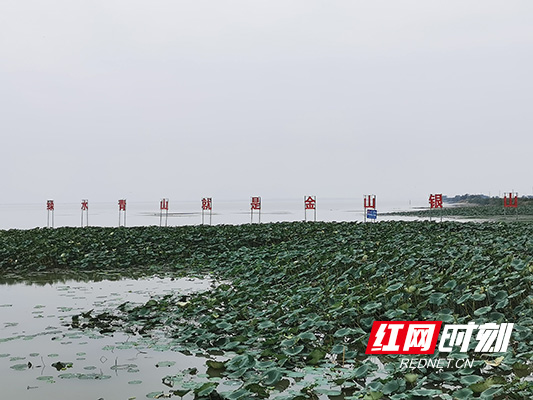 大通湖一隅(资料图)