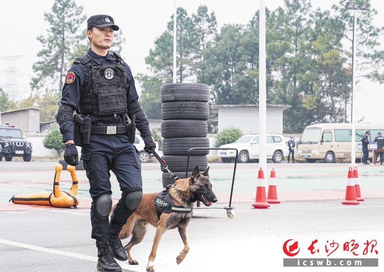 　　特警携犬常态化执法执勤演示。